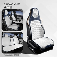 Синие и белые пять блоков всего транспортного средства [сиденье супружеского движения]