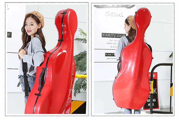 Коробка для виолончели-750_14.jpg