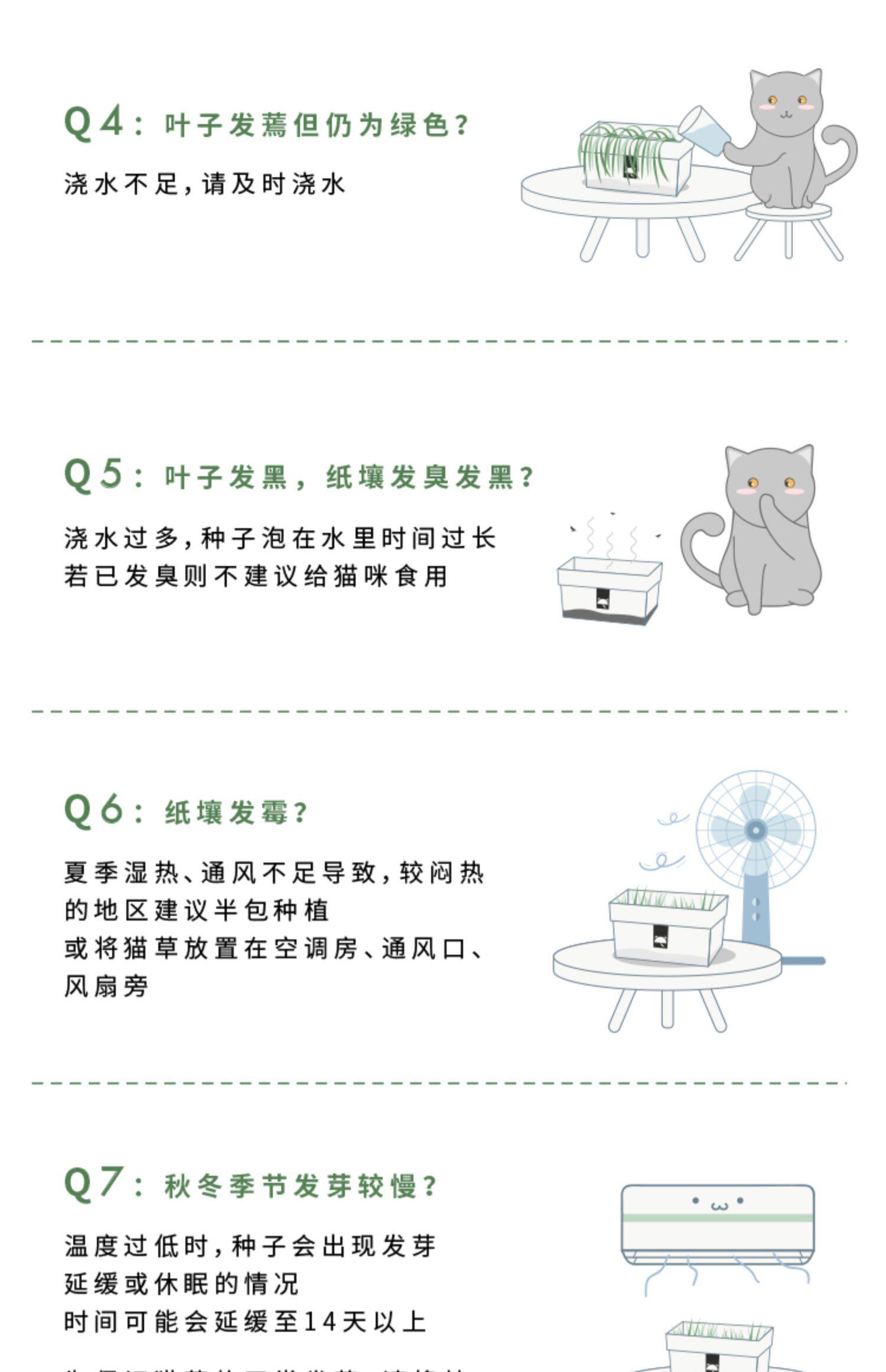未卡无土有机猫草 3包装28 8元 淘泊网 四海之内皆优惠