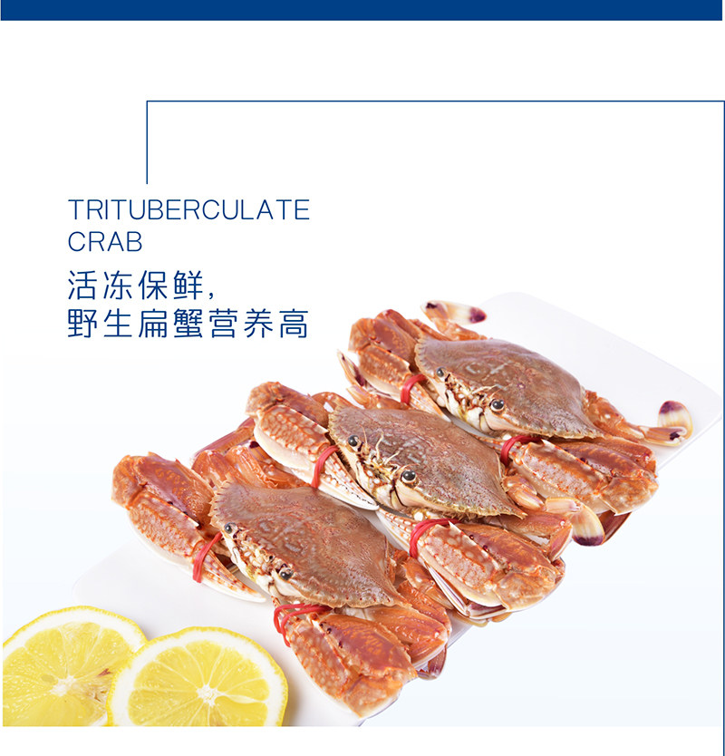 Краб-2 кот плоских крабов (1) _06.jpg