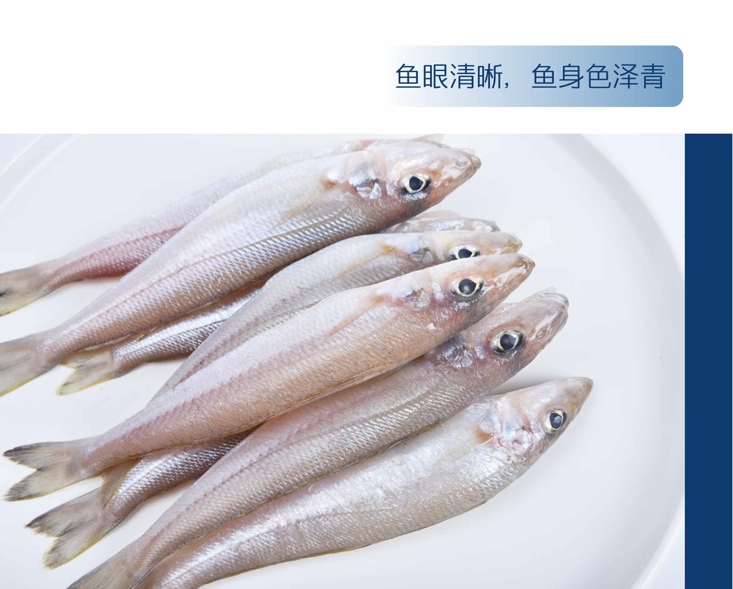 Рыба-сандрональная рыба_04.jpg