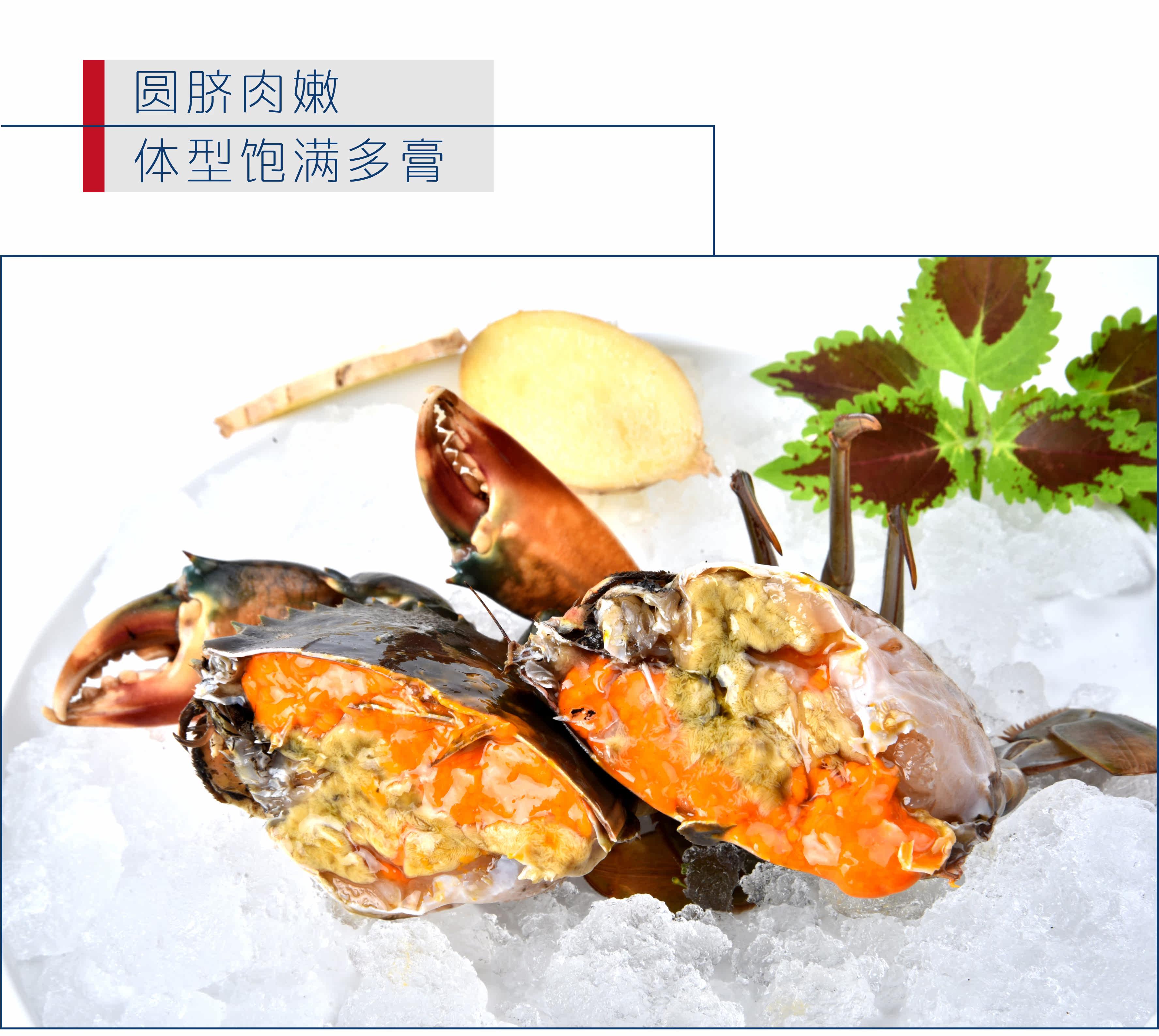 Crab-Red Cycles-первая половина_09.jpg