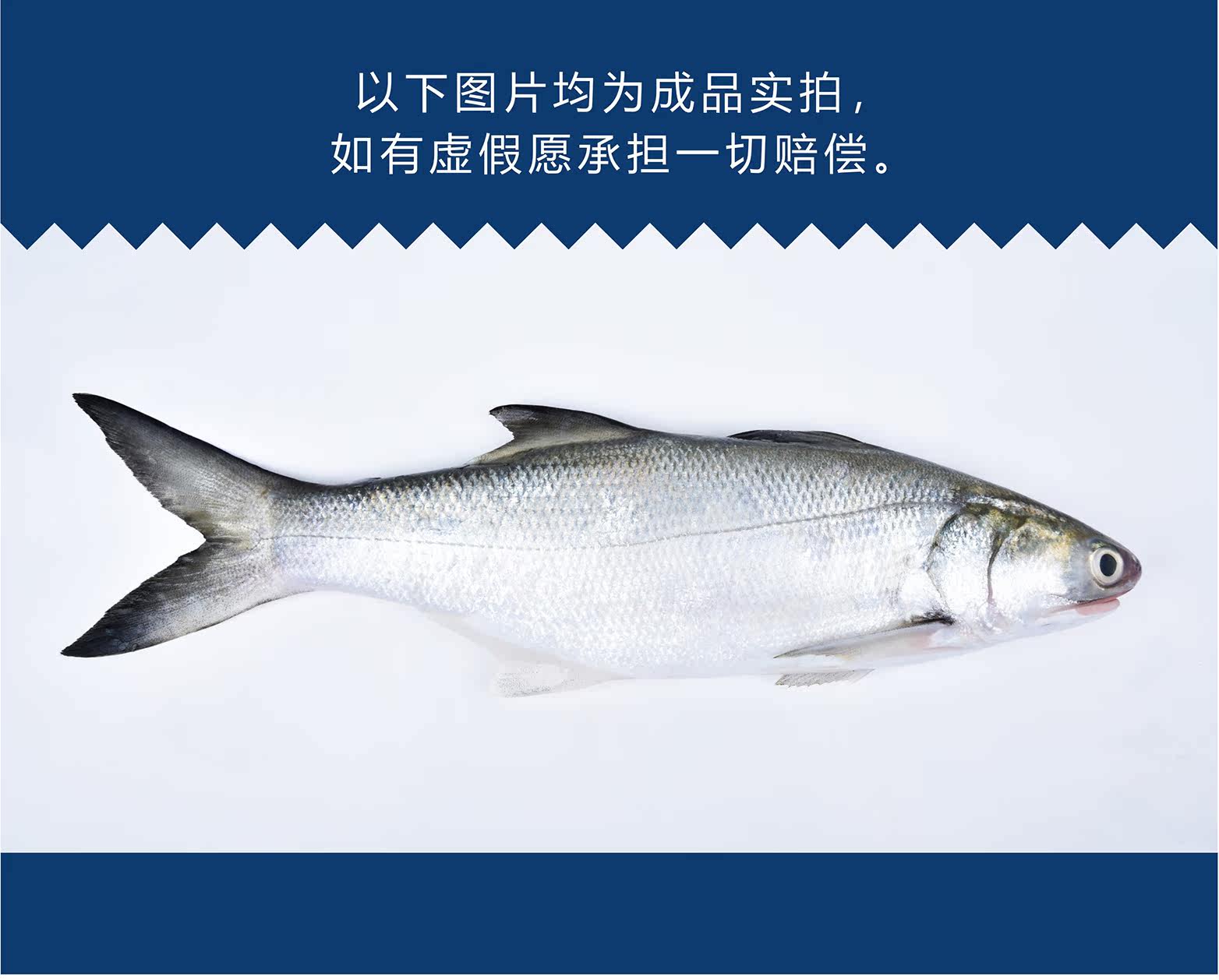 Свежая продукта - полдень рыбы - первая половина_04.jpg