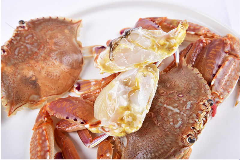 Краб-2 кот из плоских крабов (1) _09.jpg