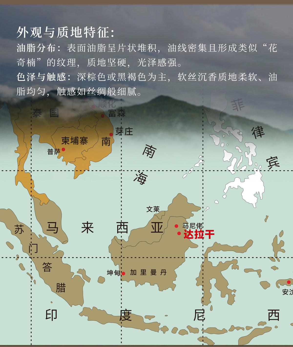 листья аквиларии 中国沉香文化博物馆正宗达拉干天然野沉香手串无优化男女情侣佛珠