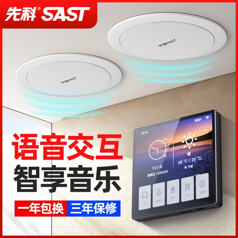 Syncor Smart Home System Set Ceiling Audio Embedded Home Background Music Host Whole House Controller