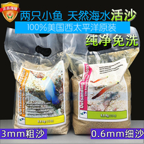 Two small fish live sand natural sea water live sand fish tank bottom sand no-wash method red sand bottom sand sea sand no-wash sea mud