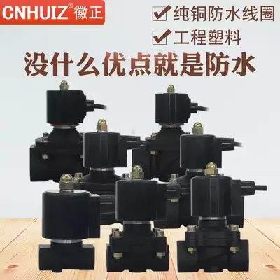 Huizheng underwater waterproof solenoid valve running spring diving water valve switch valve 220V 24V 4 minutes 6 minutes 1 inch 2 inch