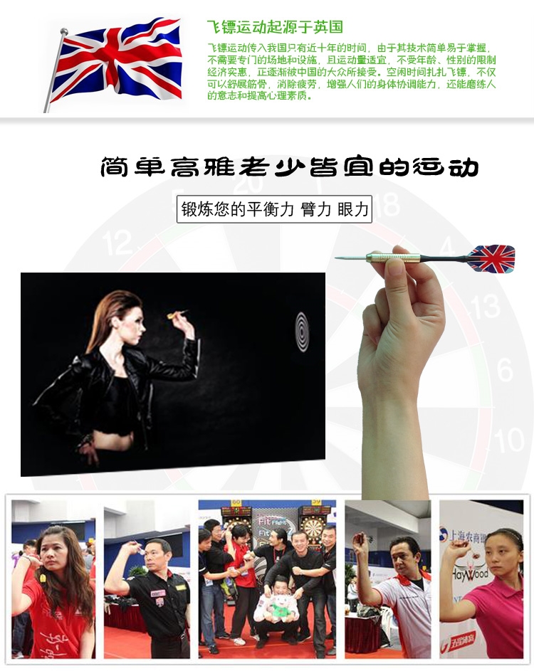 Darts Dartboard Dartboard Professional Bảng chuyên nghiệp Thiết bị giải trí gia đình 12 inch chuyên nghiệp - Darts / Table football / Giải trí trong nhà bảng phi tiêu gỗ