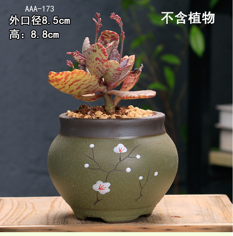 The Fleshy pot ceramic large special offer a clearance breathable creative move meat meat the plants flower pot in purple large diameter