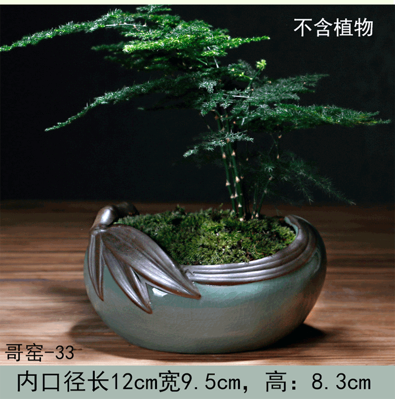 Creative move elder brother up with ceramic pot contracted money plant asparagus the plants potted large meat platter art basin