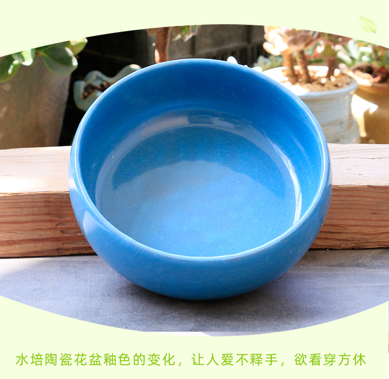 Large copper grass flower pot daffodil water lily bowl lotus without special offer a clearance hole money ceramics water raise hydroponic more meat