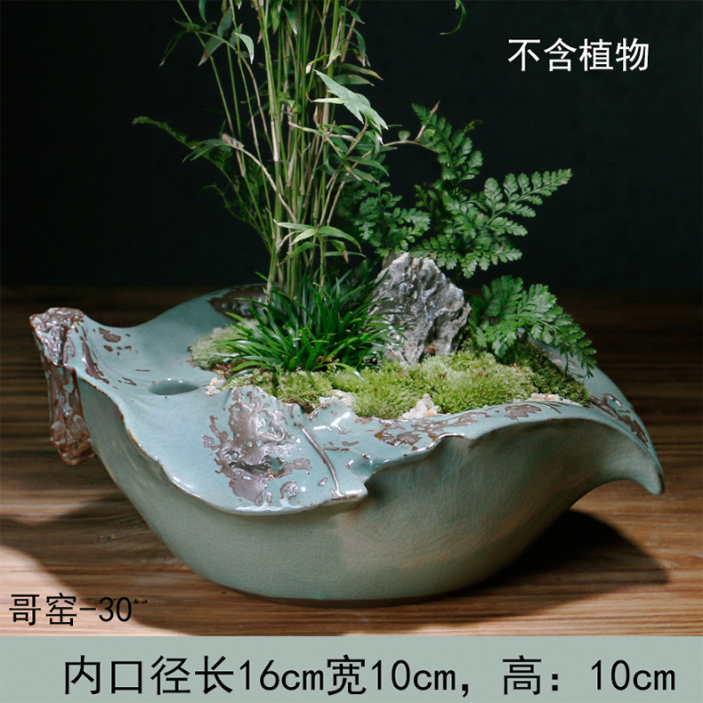 Creative move elder brother up with ceramic pot contracted money plant asparagus the plants potted large meat platter art basin