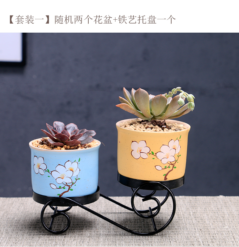 Marca dragon flowerpot ceramic large special offer a clearance package mail more than other small meat the plants flower pot, wrought iron pallets