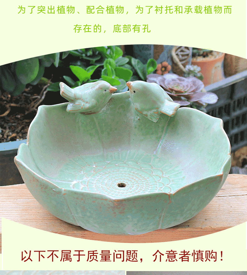 Fleshy large - diameter platter dedicated pot special offer a clearance of pottery and porcelain up creative meat meat extra large the plants flower pot