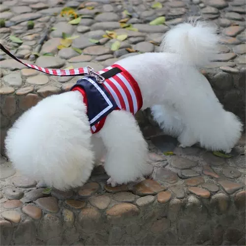 Universal Puppy Poodle сжимается и втянувшаяся веревка для выгула Dog Conture Dog может отрегулировать тягу безопасной веревкой