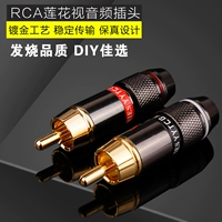 YYTCG RCA Lotus Head Plugure Pure Copper Golding Audio Signal Signal Plugc