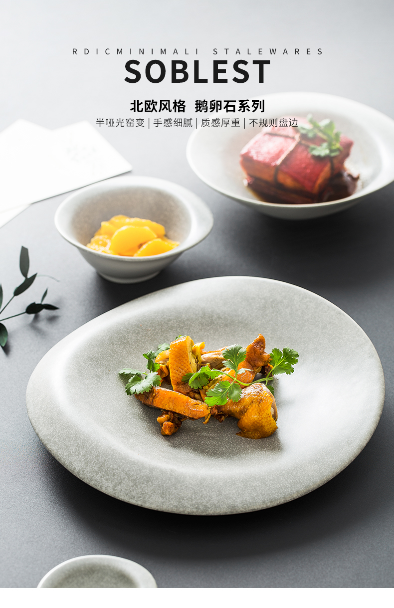 Japanese special dishes suit household ceramics tableware creative new move irregular hotel restaurant tableware