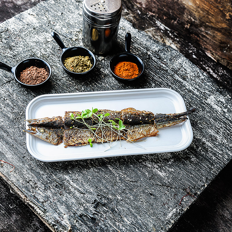 European matte enrolled porcelain rectangular plates of sushi household food dish western food all the dish tray was the features dishes