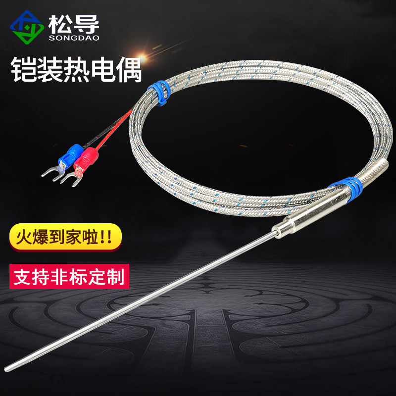 K-type thermocouple electric heating couple WRNK-191 Armored temperature sensor Bendable probe Pt100 E J T