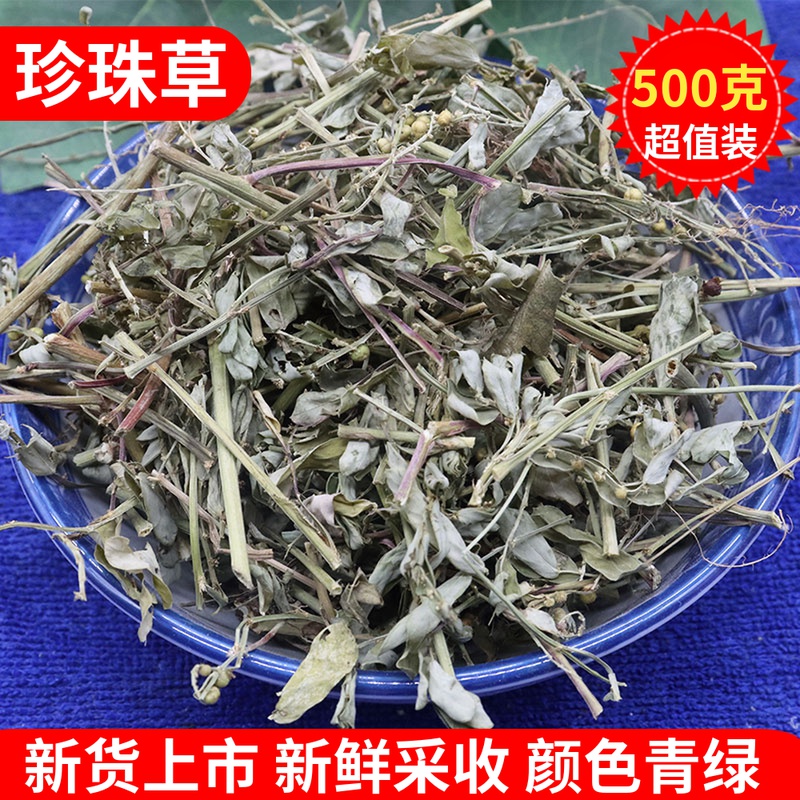 Leaf Lower Pearl Chinese herbal medicine pearl herbal medicine 500g grams Guangxi wild new sunburn beachgrass New stock Chinese herbal medicine Chinese herbal medicine nighttime grass