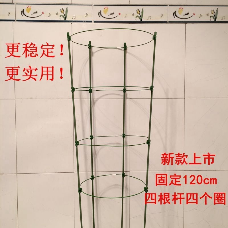 Vật tư làm vườn Bảo vệ hoa phong lan trong chậu hoa với giá đỡ Hoa kệ Vòng tròn bảo vệ lá cố định - Nguồn cung cấp vườn bình xịt cây