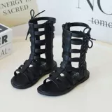 Лето -новая сплошная сторона на молнии на молнии