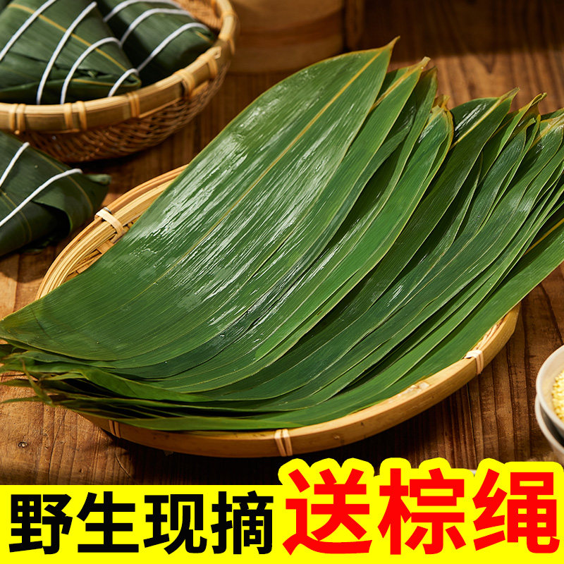 Zongye free shipping fresh large household commercial wholesale package Zongzi Dragon Boat Leaf Zhenye New Leaf Now pick reed leaves