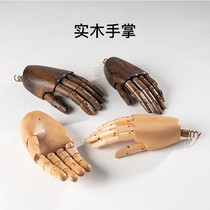 Model palm accessories