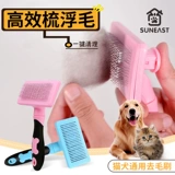 Собачья комикс комикс -баги переговоры плавучий кошачьи мубел Мао удаляет удаление волос.