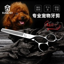 Professional Pets Beauty Scissors Tooth Cut for thin scissors Puppy scissors Hair Scissors Teddy Bibi Bear Cut Hair Scissors Supplies