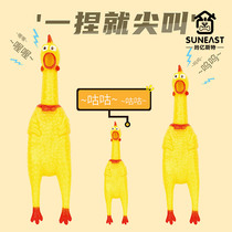 The Screaming Chicken Scream Chicken Toy Decompression is called Chicken Pooch is called and the chicken pooch pet is resistant to biting toys.