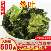 Frost-beaten mulberry leaves dry and refreshing double-leaf mulberry leaves double-beaten Tong Ren Tang frost-beaten special frost mulberry leaves