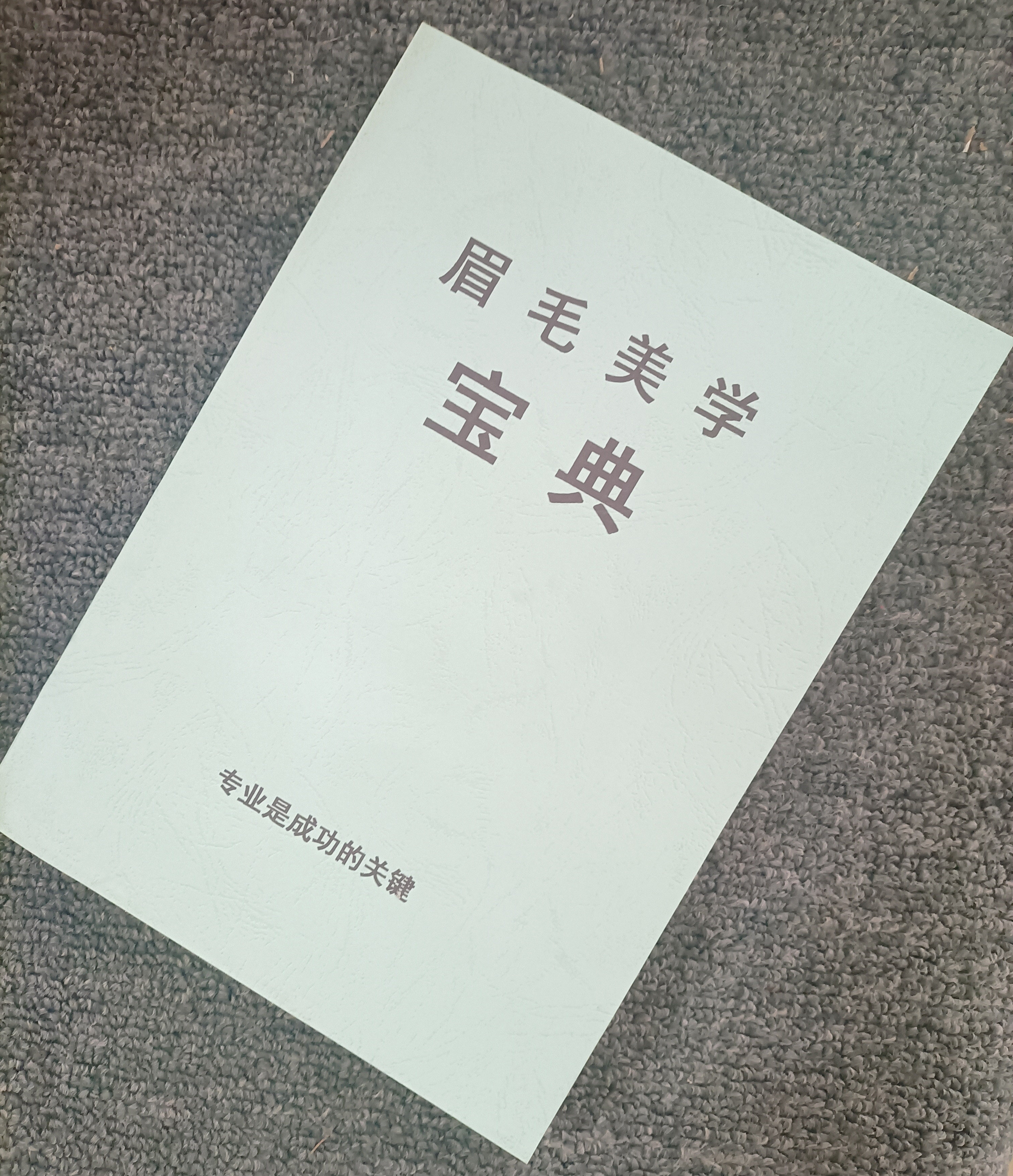 《眉毛美学宝典》美学设计半永久纹眉/销售技巧/问题案例专业秘籍，眉毛美学宝典电子书pdf资料下载