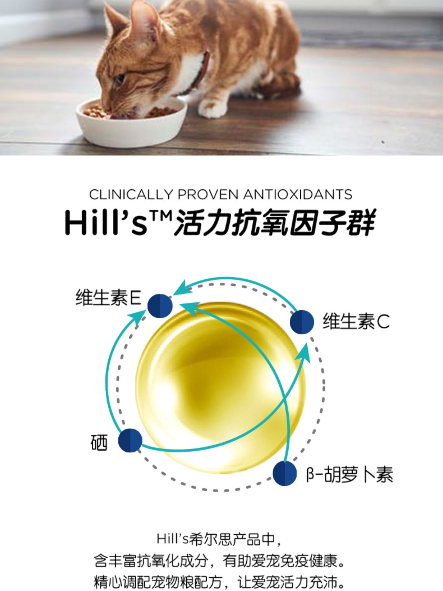 Hills Hills Thẻ thấp vào thức ăn cho mèo Gà nhập khẩu của Mỹ Tổng quát Thức ăn cho mèo trong nhà 7 lbs / 3,17kg - Cat Staples Cách mix hạt cho mèo