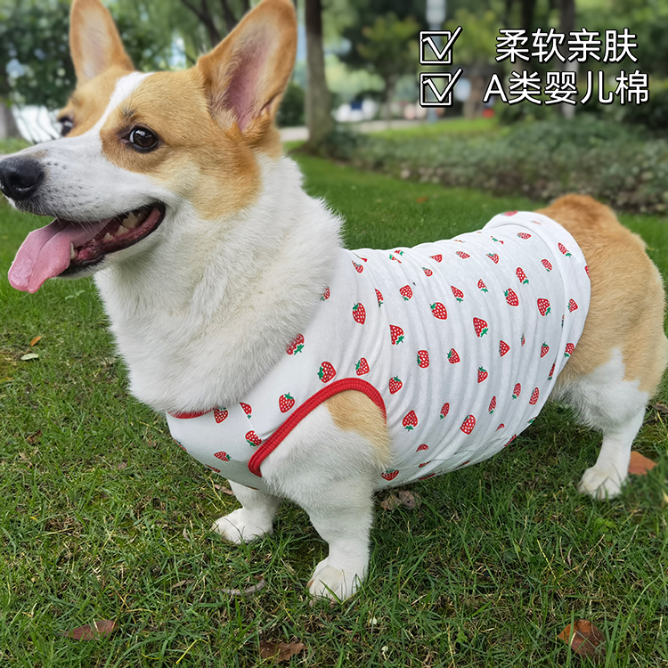 Pet dog clothes summer lightweight spring and autumn corgi cotton vest T-shirt sunscreen large, medium and small Shiba Inu Bichon