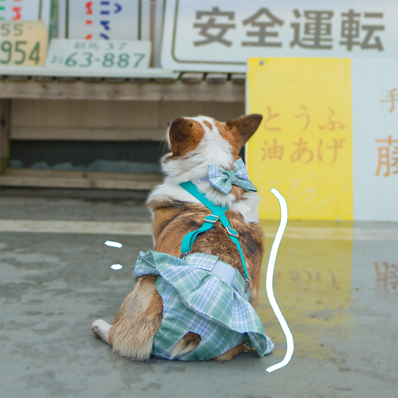 Dog bitch aunt pants physiological menstrual baby bag pants pet anti-mating harassment sanitary napkin corgi small and medium-sized dog