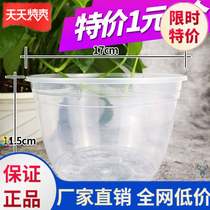  Green Ole Flower Pot Seat Absorbent Glass Flower Water Storage External Basin Balcony Large Medium Plastic Water Storage Round Eurostyle Plus