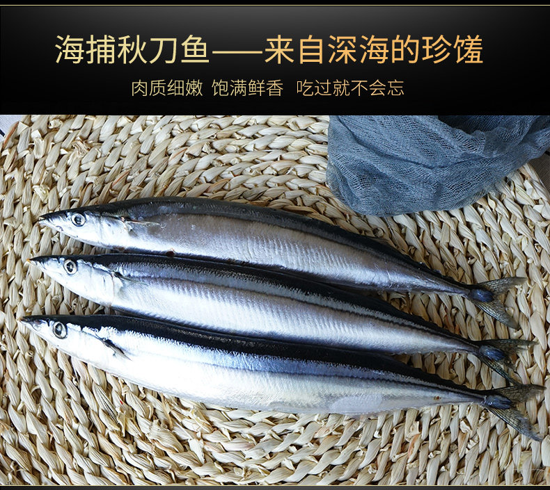 O1CN01NU W9SH1 не может 1FM5MK US _ !!