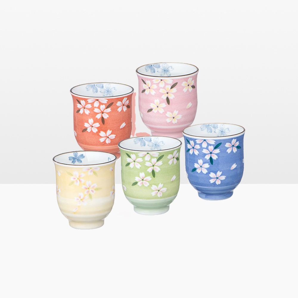 MinoYaki meinung burn imported from Japan jing ying, hand - made ceramic cup cup five times gift boxes
