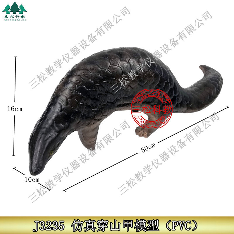 3235仿真穿山甲模型生物教学科教仪器初高中标本动物摆件展示