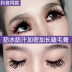 Mascara nữ thấm nước mồ hôi cộng với những lọn tóc dài dày tự nhiên kéo dài không nở hoa chóng mặt với cùng một đoạn bơi đặc biệt - Kem Mascara / Revitalash