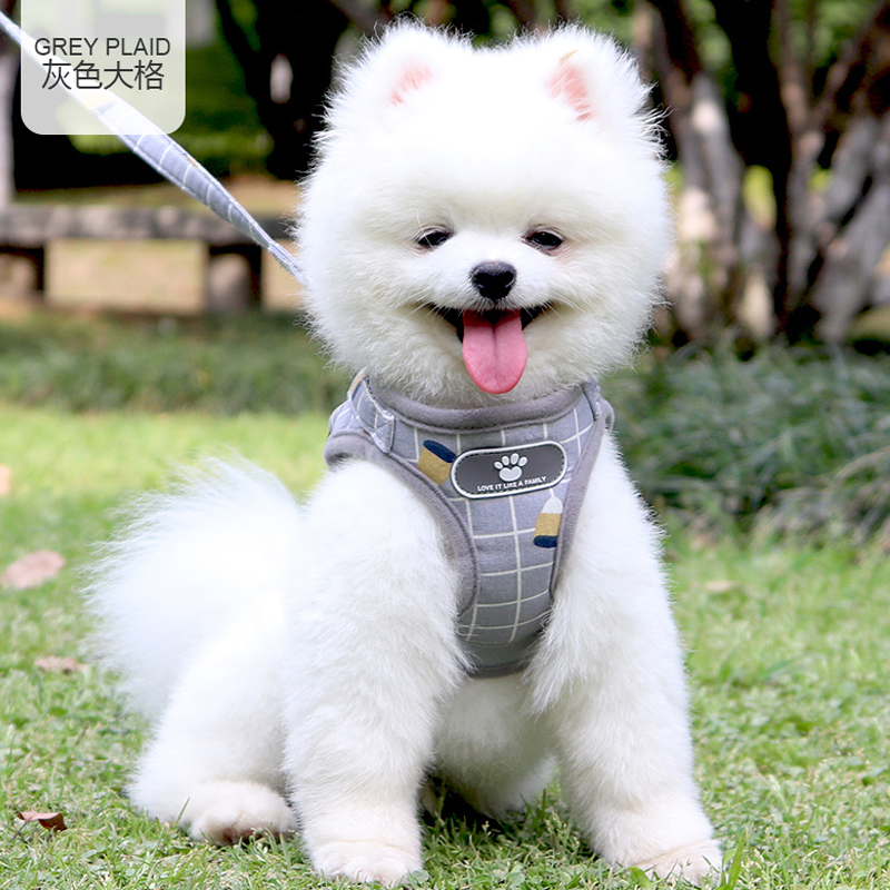 Dog traction rope vest type small dog cute walking dog without neck and shoulder bag style kitty kitty winter warm