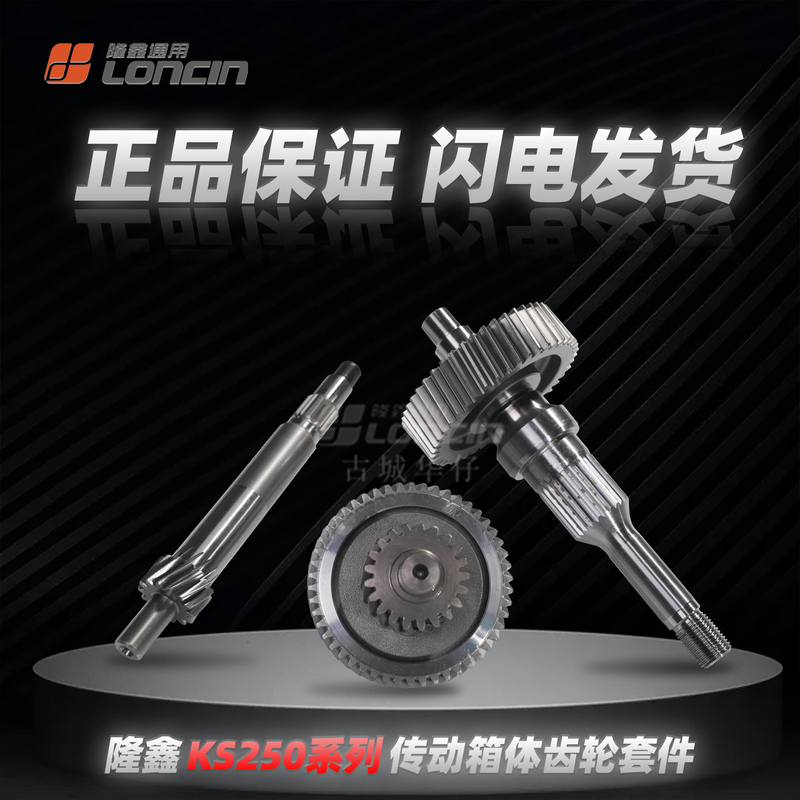 Longxin Ks250, Wuji Sr250Gt, Tianying Tx250, Nanfang Feige 250Max Transmission Gear