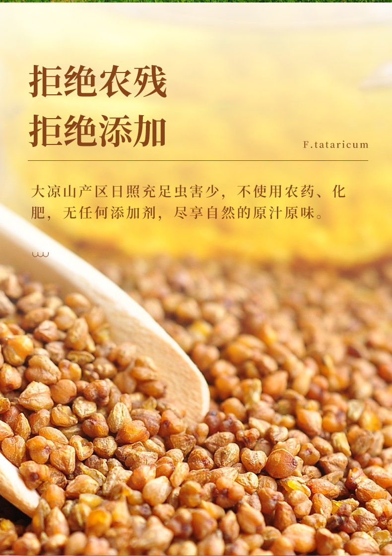 劲牌旗下 持正堂 苦荞茶 6g*20袋*3盒 健脾胃 降血脂血糖 图4