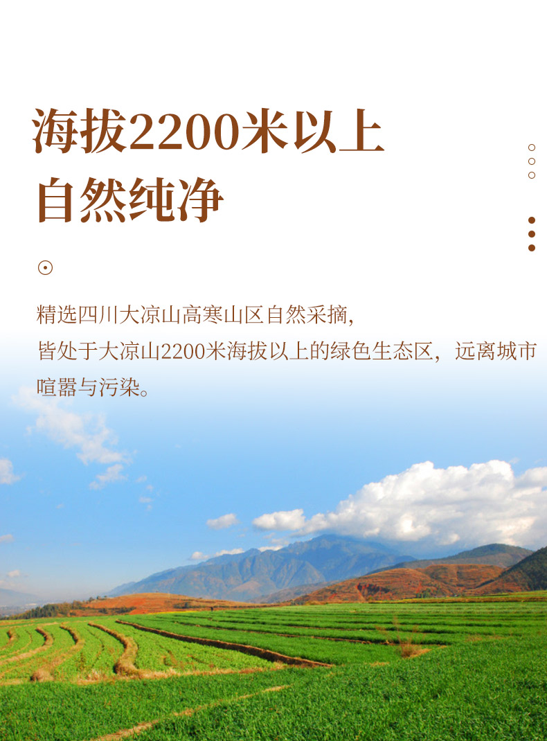 劲牌旗下 持正堂 苦荞茶 6g*20袋*3盒 健脾胃 降血脂血糖 图3