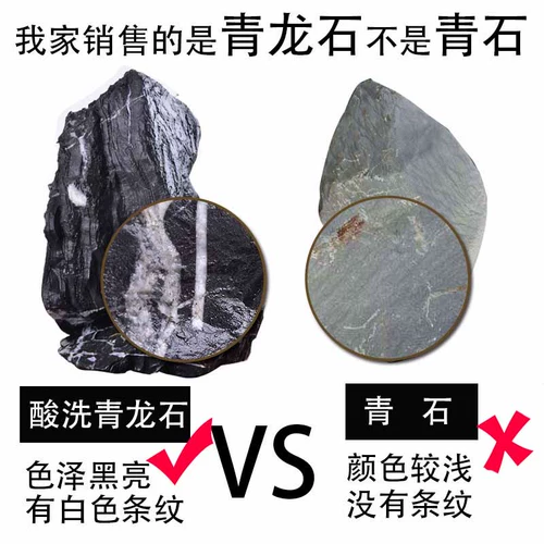 Эдкс маринованный зеленый драконский камень рыбака ландшафтный ландшафтный ландшафтный дизайн