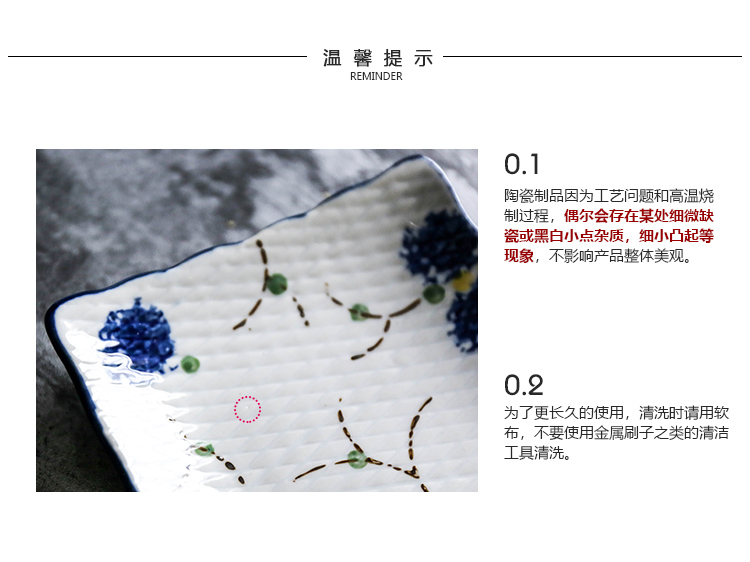 Japanese creative salmon sushi platter ceramic tableware plates rectangular snacks. The Dish food Dish of household