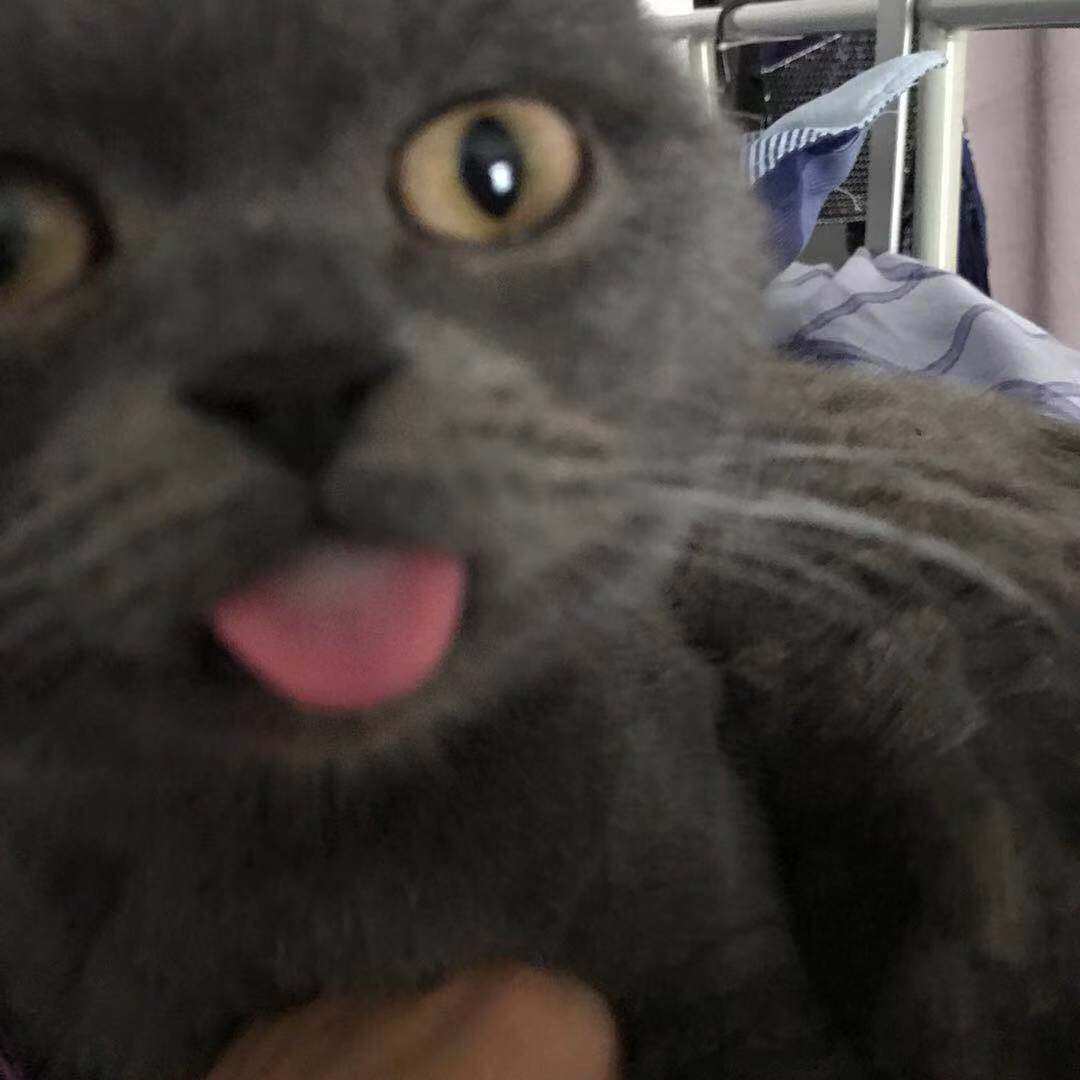 How much is the difference between the postage difference and the difference?