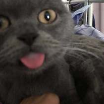 How much is the difference in the cost of the postage difference link?